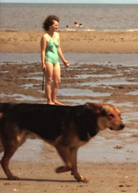 Barb Riding Bareback
