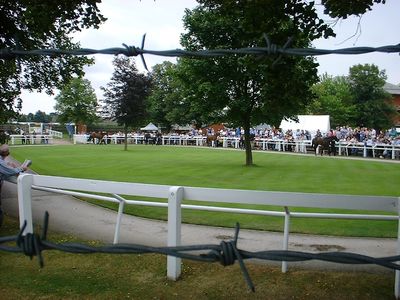 A day at the races with Thom - Ron and Steve
