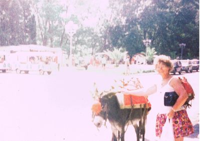 Daisy Hill And Donkey 01
