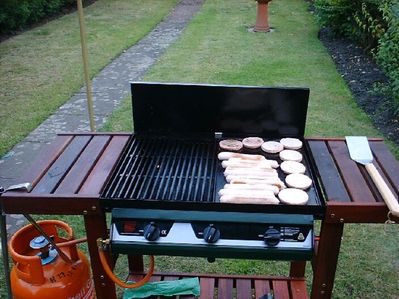 bbq1
