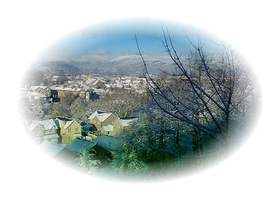 kendalvig1
