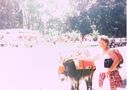 Filename=Daisy_Hill_And_Donkey_01.Jpg
Filesize=115KiB
Dimensions=906x640
Date added=Jul 11, 2021 Daisy_Hill_And_Donkey_01.Jpg
