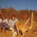 Filename=Gavin_Johnson_Jackie_And_Boy_Gav_S_Dog_1977_June_01.Jpg
Filesize=118KiB
Dimensions=644x640
Date added=Jul 11, 2021 Gavin_Johnson_Jackie_And_Boy_Gav_S_Dog_1977_June_01.Jpg
