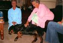 Filename=HAZEL_AND_PEARL_IN_NZ_01.jpg
Filesize=118KiB
Dimensions=934x640
Date added=Jul 11, 2021 HAZEL_AND_PEARL_IN_NZ_01.jpg