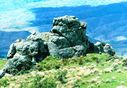 Filename=NZ21_Print.jpg
Filesize=244KiB
Dimensions=926x640
Date added=Jul 11, 2021 NZ21_Print.jpg