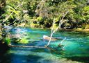 Filename=Pearls_Visit_to_NZ_022.jpg
Filesize=252KiB
Dimensions=897x640
Date added=Jul 11, 2021 Pearls_Visit_to_NZ_022.jpg