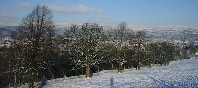  Christmas At The Lakes  105
