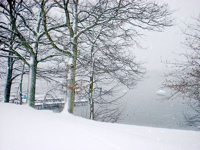  Christmas At The Lakes  54
