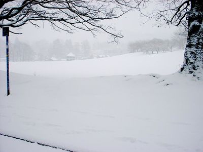  Christmas At The Lakes  55
