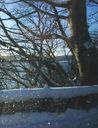 Filename=_Christmas_At_The_Lakes_8.JPG
Filesize=41KiB
Dimensions=367x479
Date added=Jul 11, 2021 _Christmas_At_The_Lakes_8.JPG