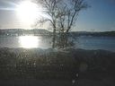 Filename=_Christmas_At_The_Lakes_9.JPG
Filesize=43KiB
Dimensions=640x480
Date added=Jul 11, 2021 _Christmas_At_The_Lakes_9.JPG
