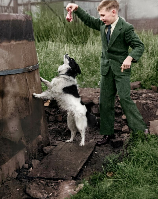 Francis Adams Teasing Dog

