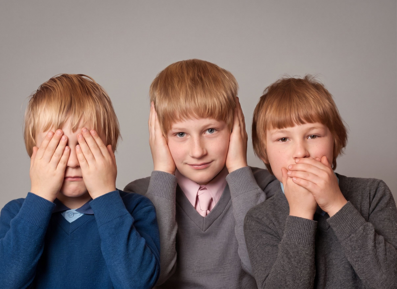 see no evil, hear no evil, Speak no evil
